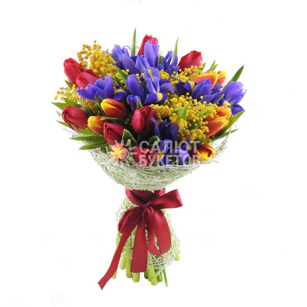 Семицветик (1)
