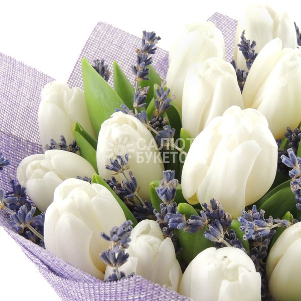 Оттепель (мини) (2)