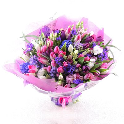 Фейерверк (Макси)