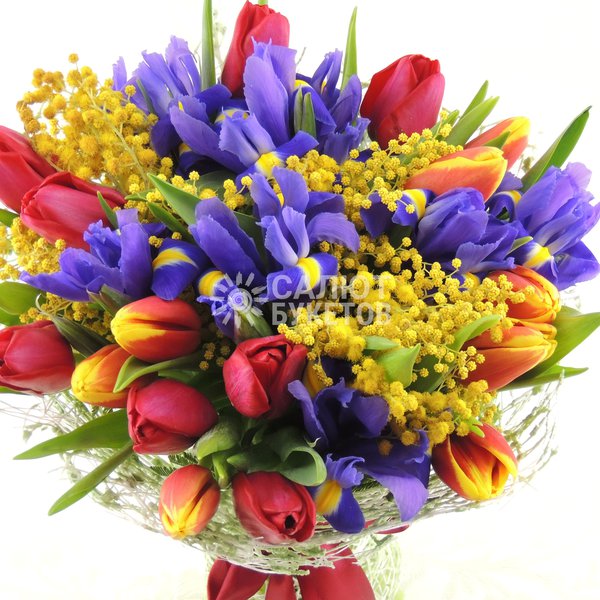 Семицветик (3)