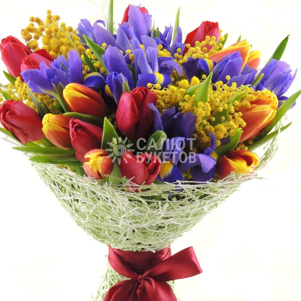 Семицветик (2)