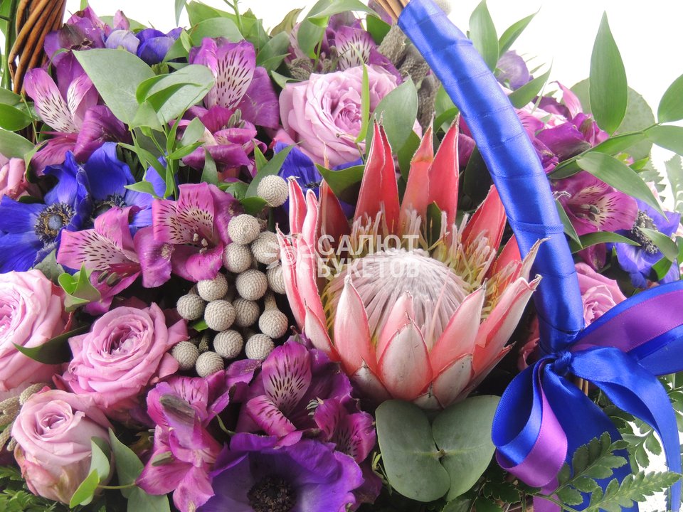 1001 ночь | Розы | Салют Букетов