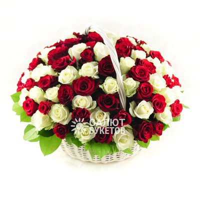 Примадонна