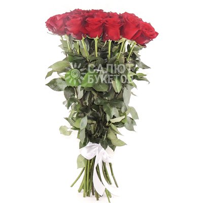 Ассоль (25 роз)